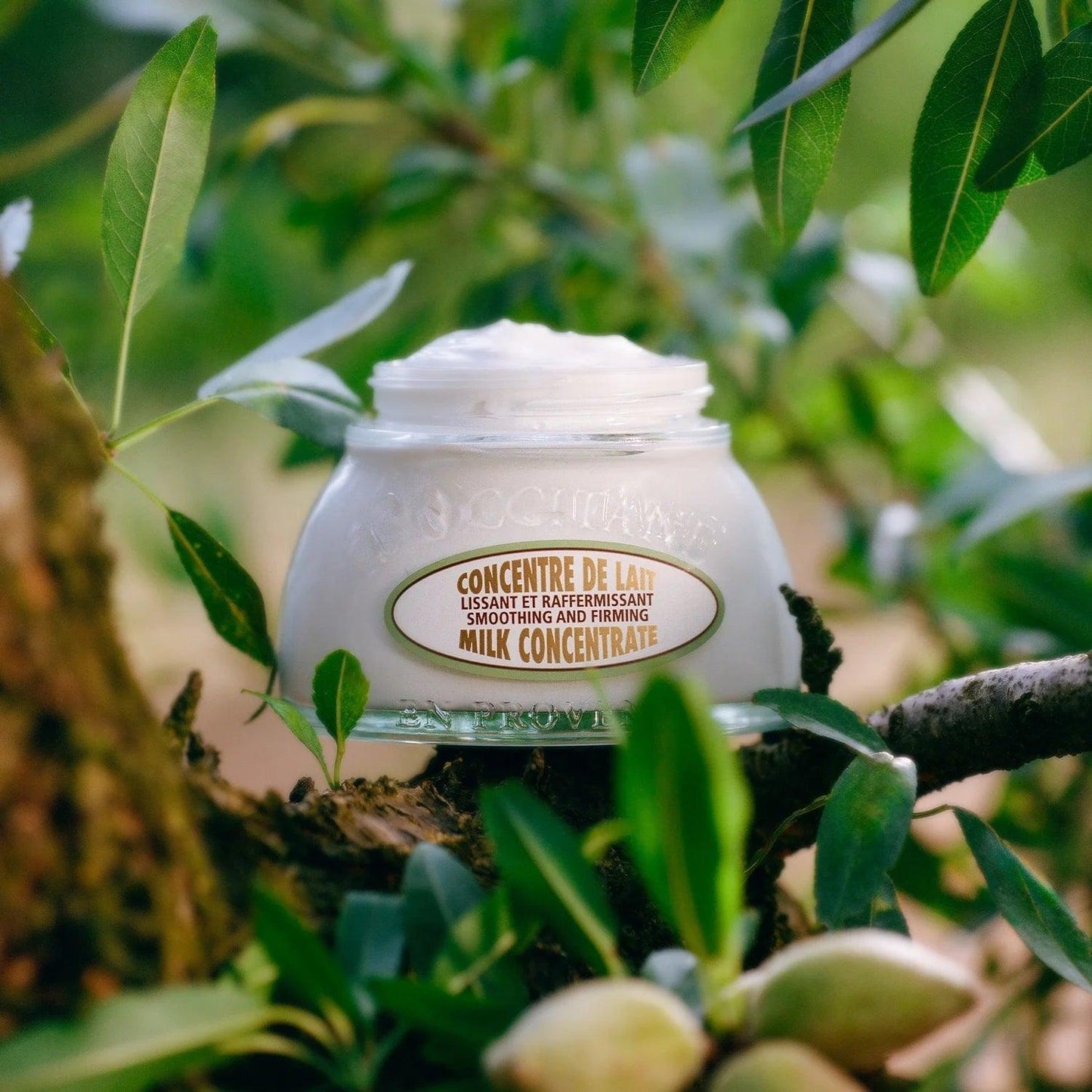 L'Occitane Almond Milk Concentrate Lotion 200mML - AugustSa Shop
