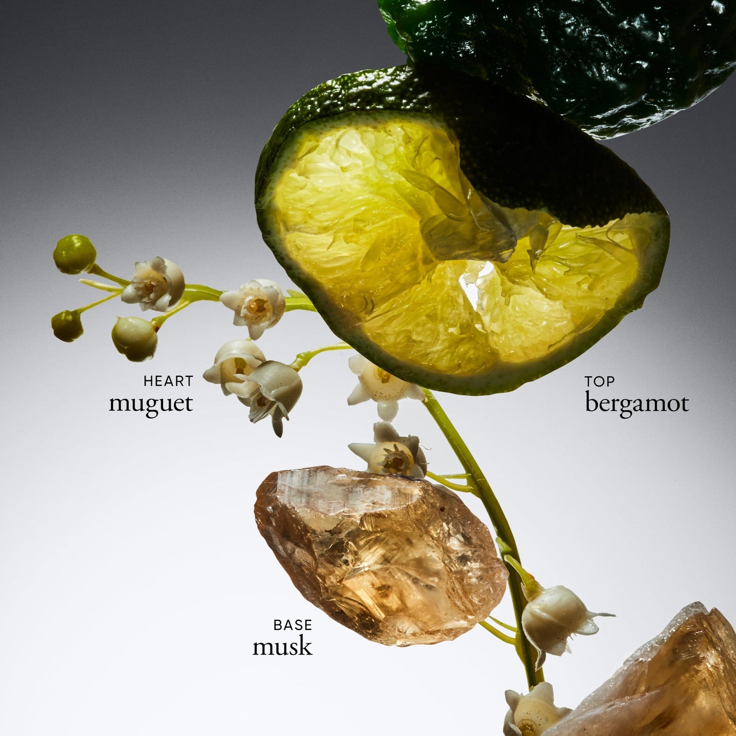 Philosophy Amazing Grace Body Firming Emulsion 240ml - AugustSa Shop