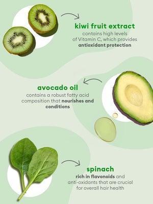 
                  
                    Briogeo Superfoods Avocado + Kiwi Mega Moisture Hair Mask Travel Size 59ML - AugustSa Shop
                  
                