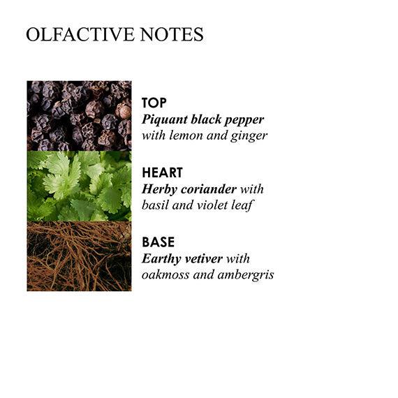 
                  
                    Re-charge Black Pepper Bath & Shower Gel 30ML - AugustSa Shop
                  
                